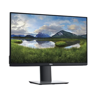 Dell P2419H