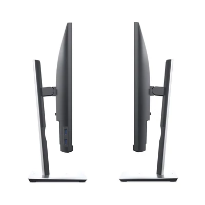 Dell P2419H